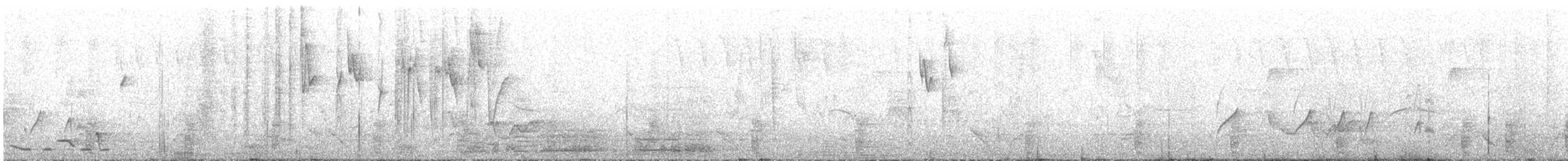 White-eared Conebill - ML647111448