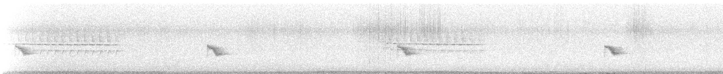 Bicknell's Thrush - ML647111480