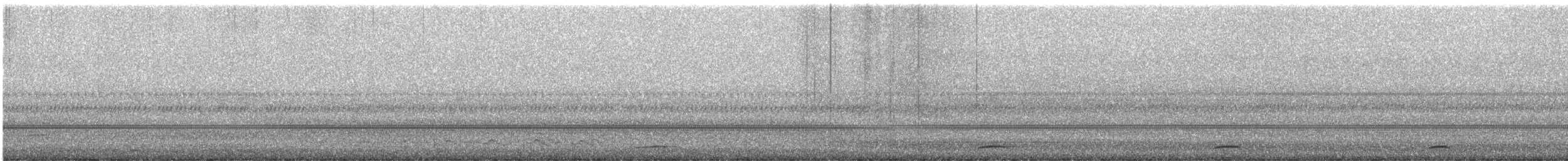 chřástal běloprsý - ML647111564