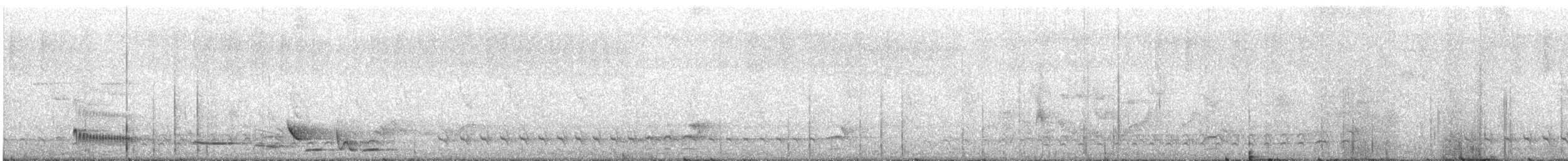 Black-crowned Antshrike - ML647111638