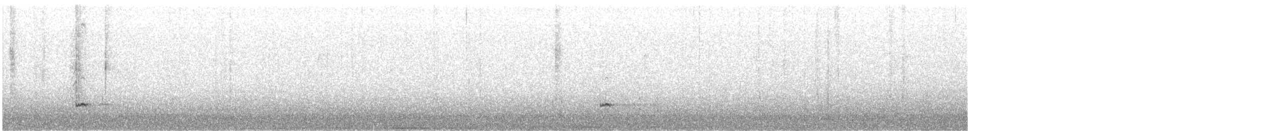 čírka obecná (ssp. carolinensis) - ML647111760