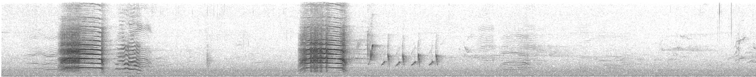 kakadu naholící - ML647111784