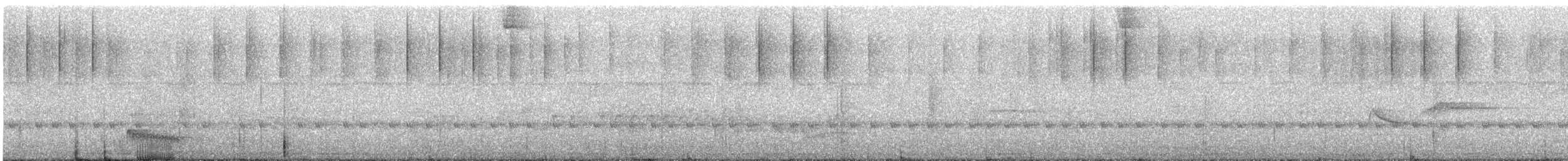 Slate-headed Tody-Flycatcher - ML647111889