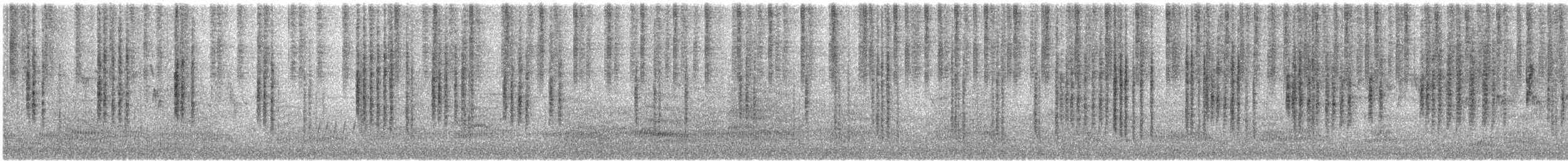 Sedosito Maculado - ML647111979