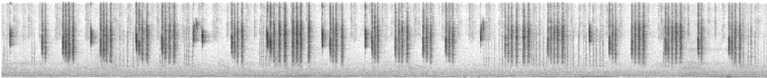 Sedosito Maculado - ML647111980