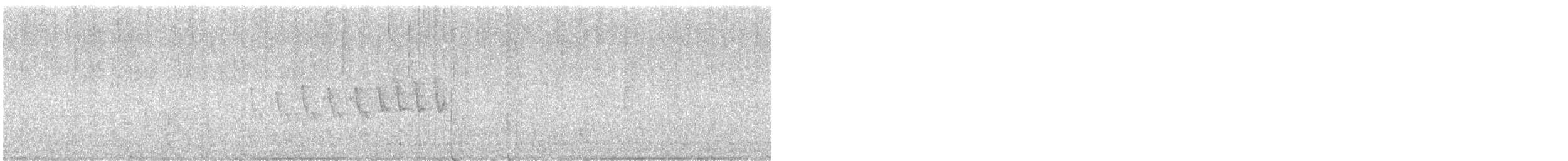 Grace's Warbler - ML647112064