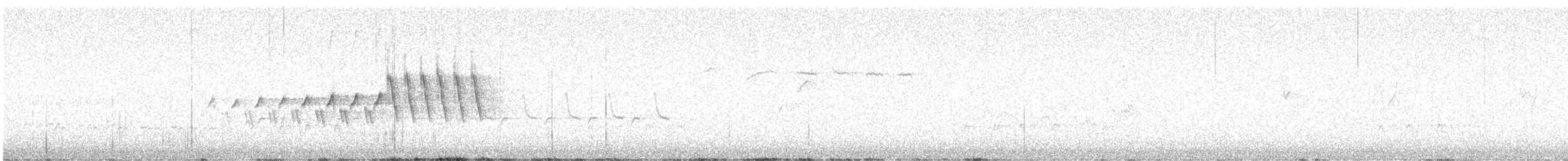 Grace's Warbler - ML647112165