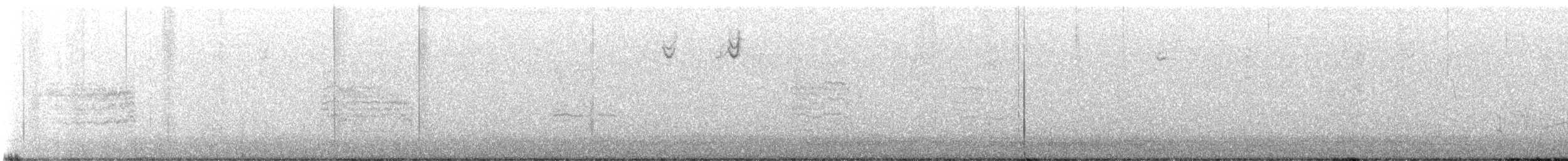 Chochín Criollo Norteño - ML647112441