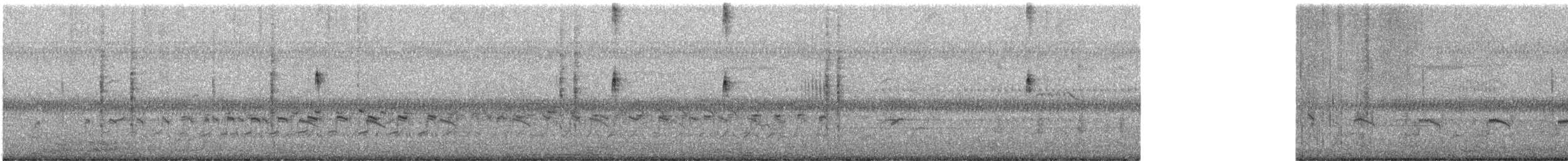 Flussregenpfeifer - ML647112694