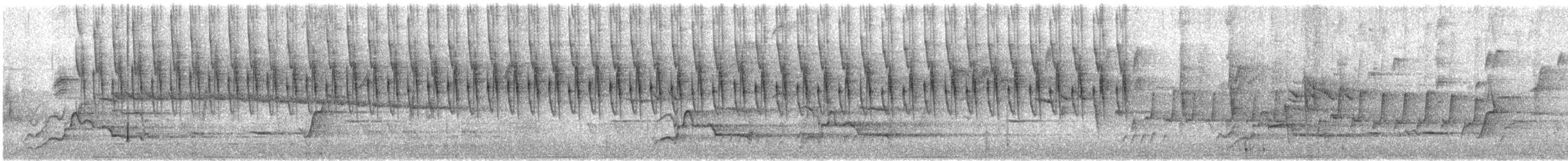 Sedosito Maculado - ML647112761