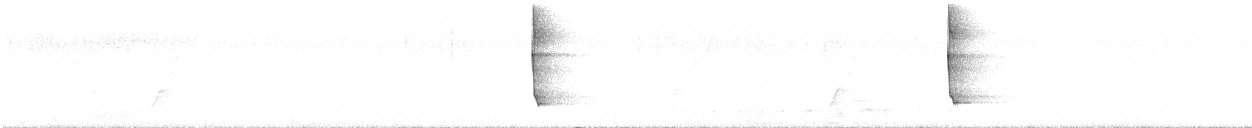 ミカヅキキバネミツスイ - ML647112795