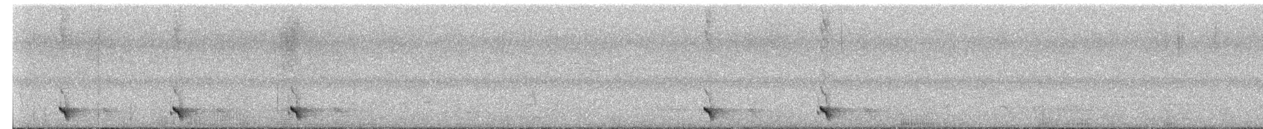 ミミジロミツスイ - ML647113140