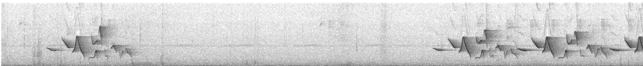 キバラマユミソサザイ - ML647113173