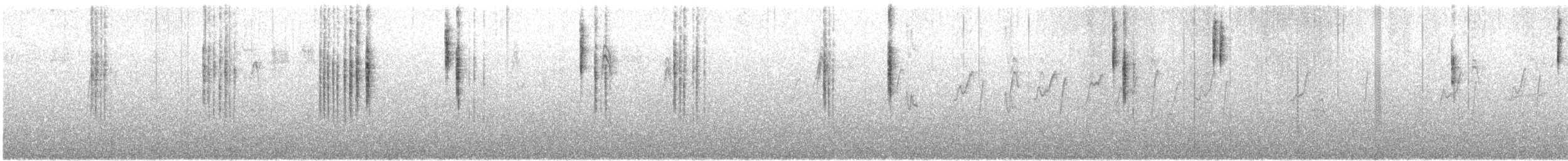 Sedosito Maculado - ML647113292