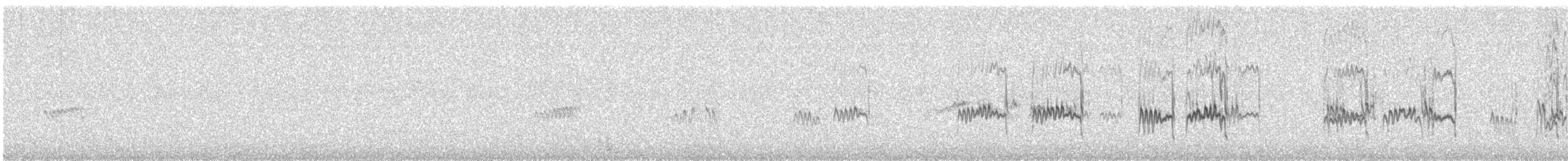 ハマシギ - ML647113495