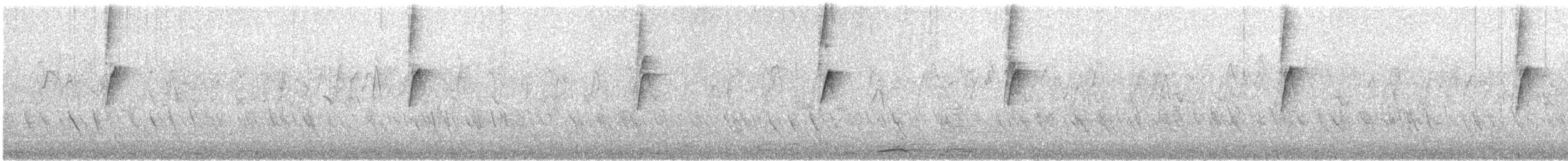 New Holland Honeyeater - ML647113928