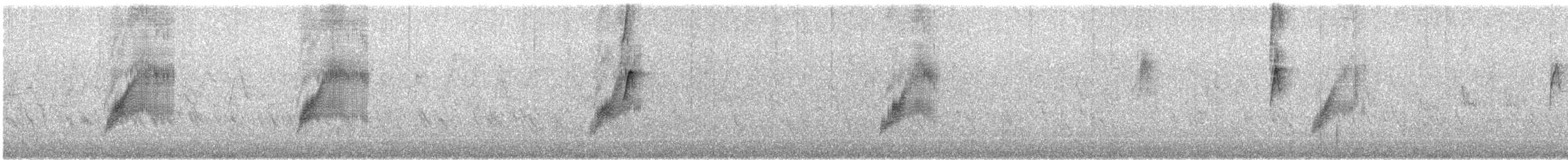 Sedosito Maculado - ML647113929