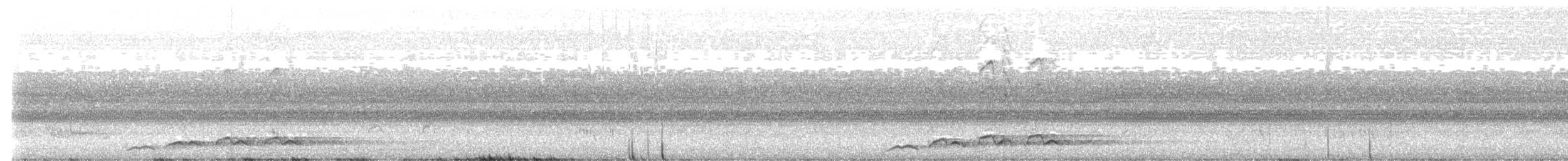 Coucou bleuté - ML647114124