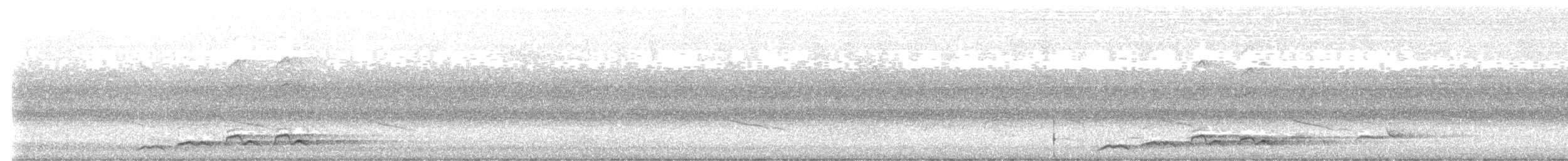 Coucou bleuté - ML647114125