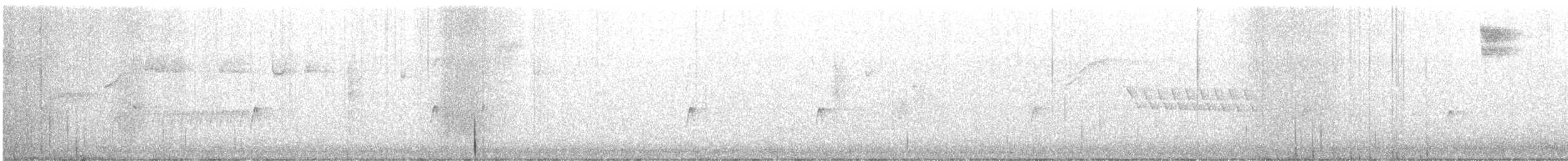 Moucherolle de Hammond - ML647114339