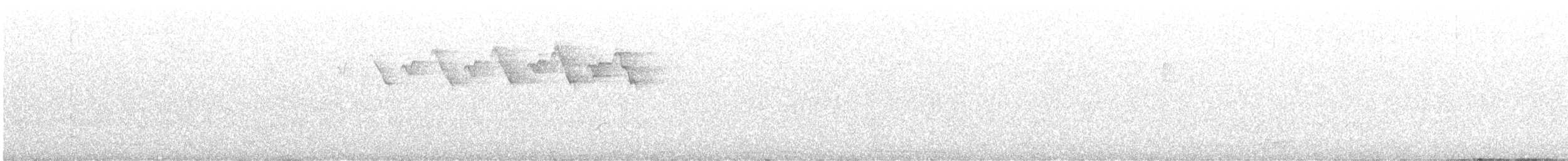 Paruline noir et blanc - ML647114636