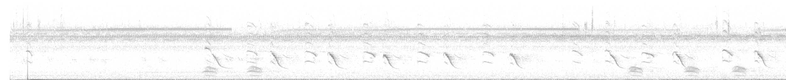 Striated Babbler - ML647115003