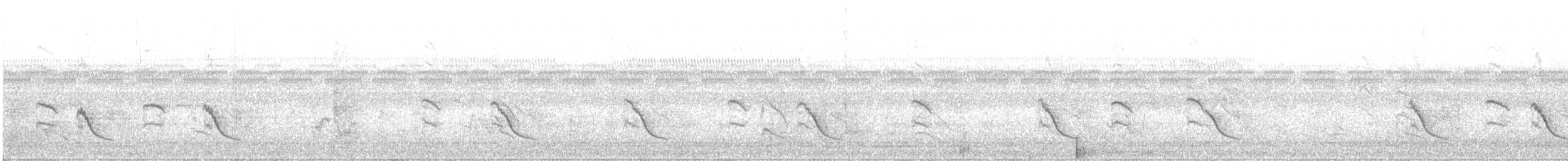 Striated Babbler - ML647115102