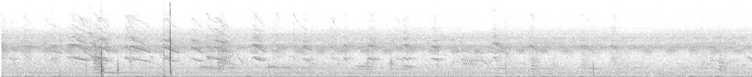 Striated Babbler - ML647115103