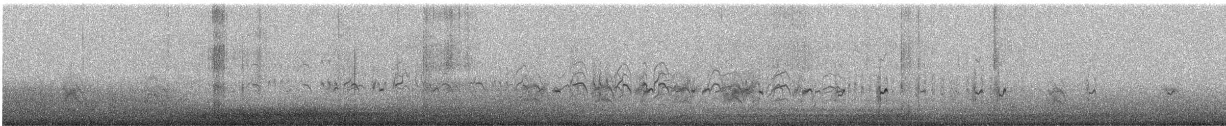 Peruvian Tern - ML647116232