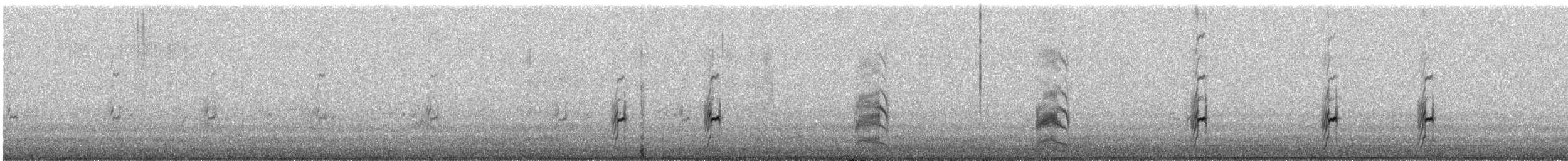 Peruvian Tern - ML647116233