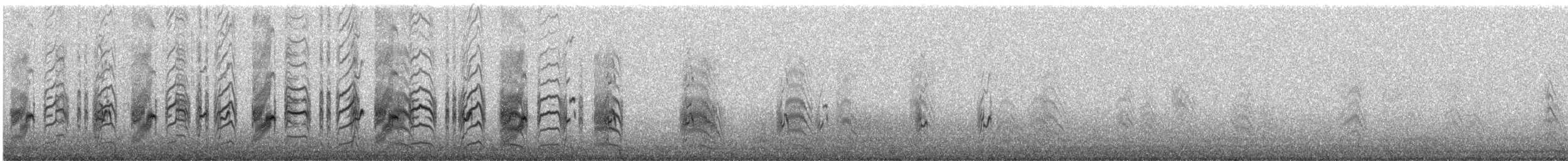 Peruvian Tern - ML647116234