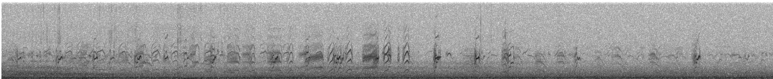 Peruvian Tern - ML647116235