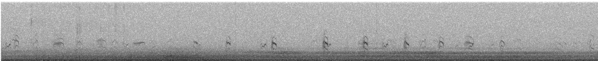 Peruvian Tern - ML647116236