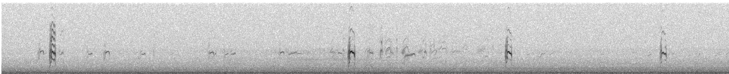 Peruvian Tern - ML647116237