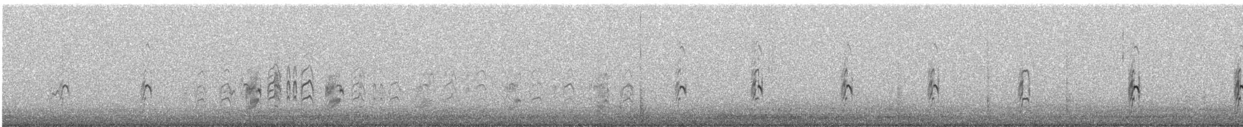 perudvergterne - ML647116238