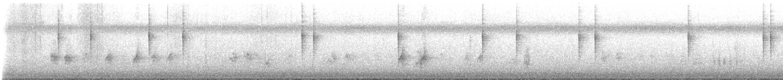 dvergfluesnapper - ML647116405