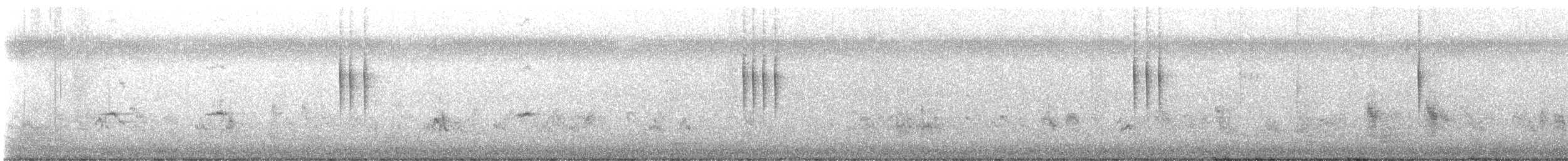 dvergfluesnapper - ML647116406