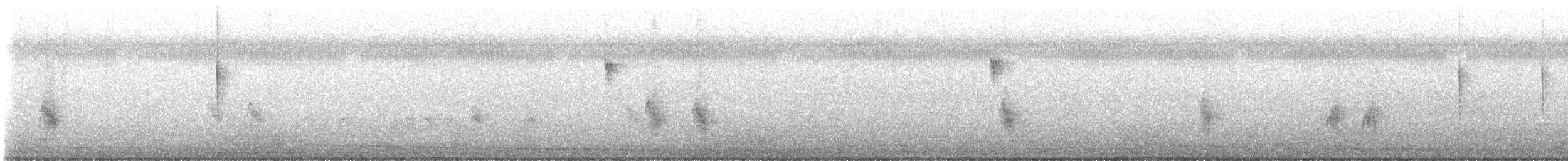 dvergfluesnapper - ML647116407