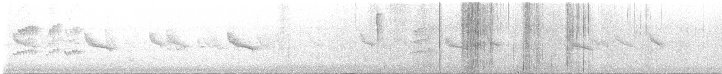 skjellkronestubbstjert - ML647116494