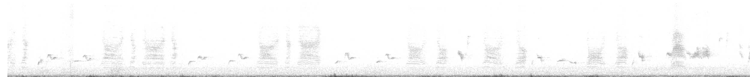 svartryggvarsler (collaris/pyrrhostictus) - ML647116663