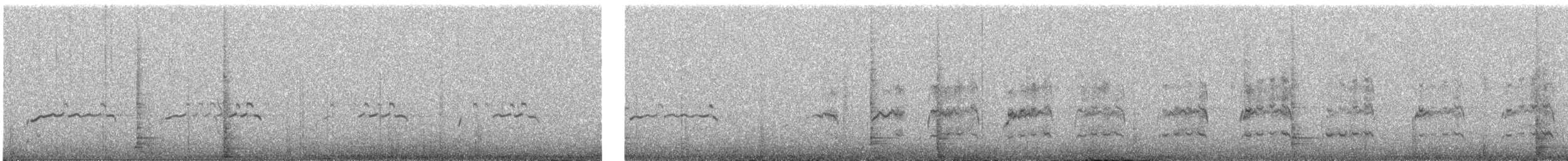 aplomadofalk - ML647116665