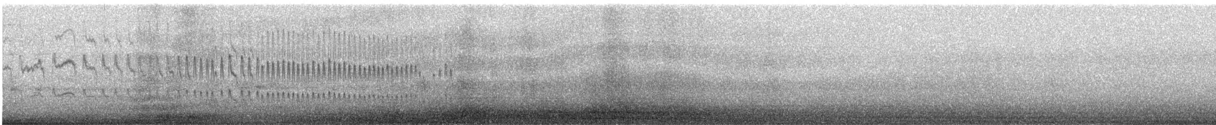 lomameisetyrann - ML647116666