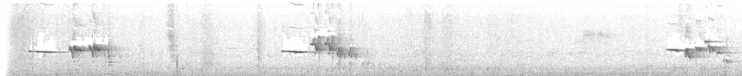 taiwankortvinge - ML647116936