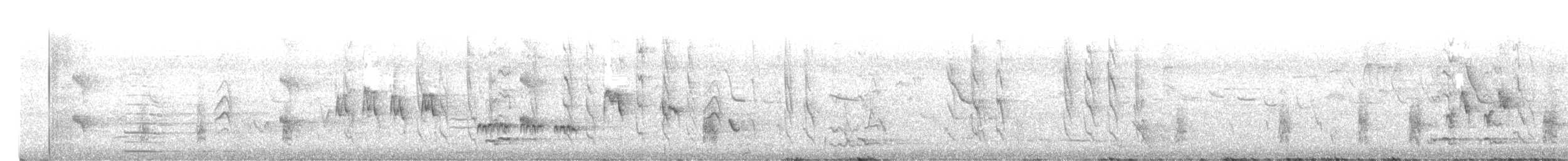 Australian Reed Warbler - ML647117432