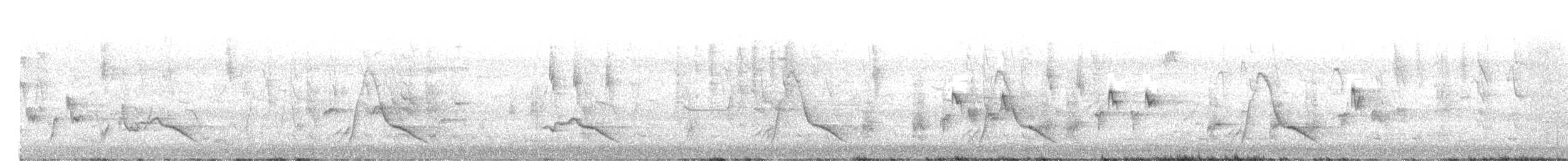 Black-faced Monarch - ML647117453