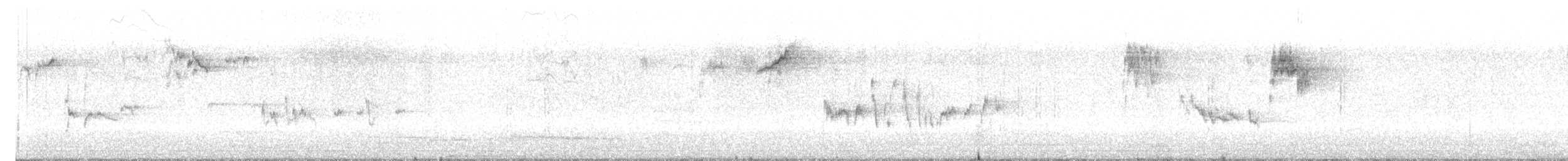 Petirrojo Europeo - ML647117629