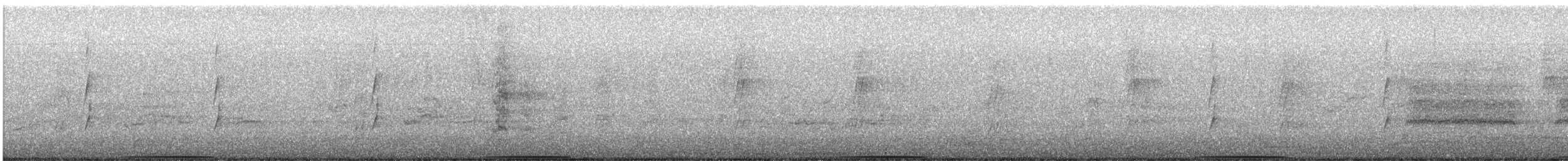 Common Bronzewing - ML647117658