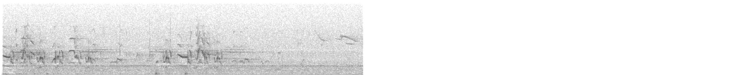 Sarı Yakalı Papağan (barnardi) - ML647118377