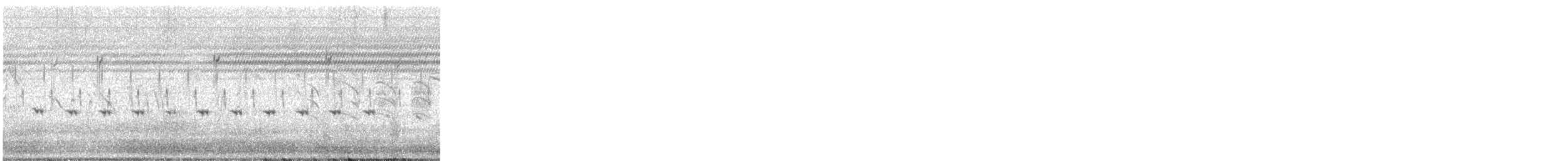 Desert Cisticola - ML647118572