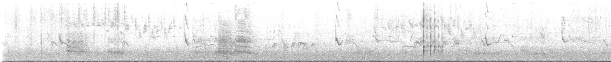 Tasmanian Nativehen - ML647119085